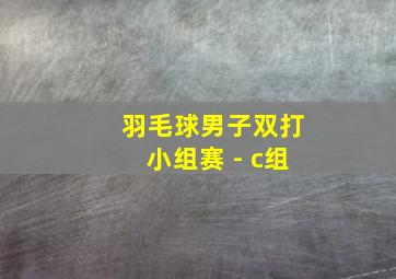 羽毛球男子双打小组赛 - c组